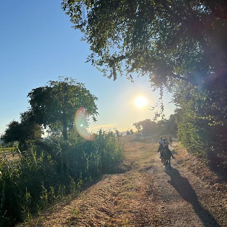 Agriturismo Hornos نومانا المظهر الخارجي الصورة