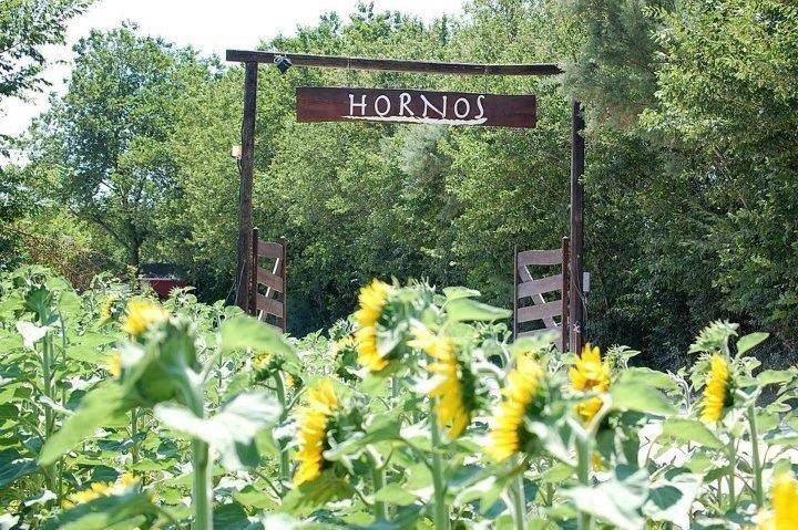 Agriturismo Hornos نومانا المظهر الخارجي الصورة